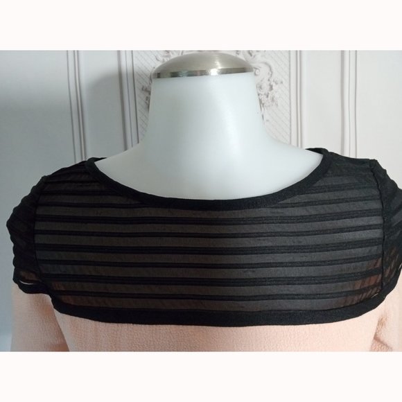 Cache  Mesh Sheath Midi Salmon Pink & Black Lined Dress Flattering Fitted Sz 0 - Picture 3 of 7